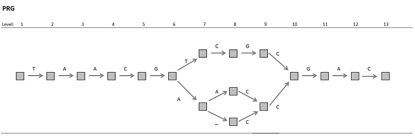 An example PRG with 3 haplotypes.