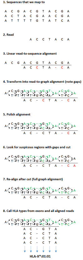 Graph alignment by linear approximation